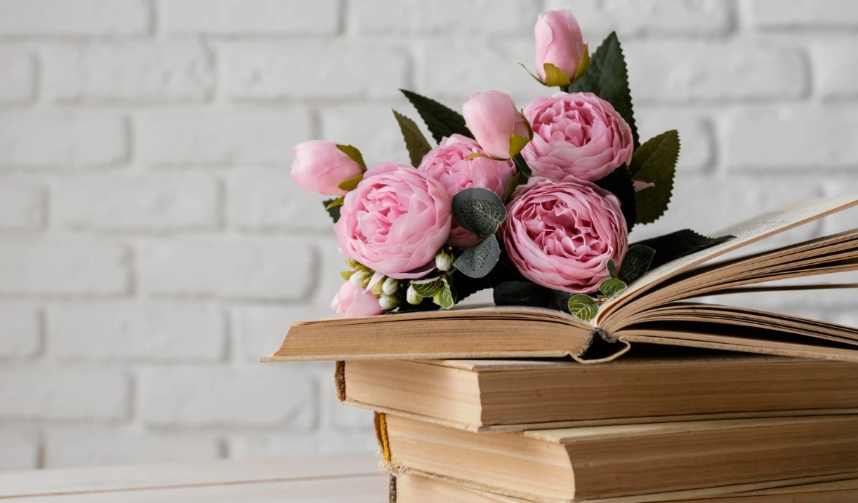 Лучшие подарки для книголюбов